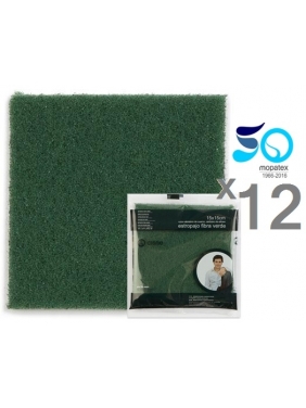 Strong Green Scouring Pad 15x20cm (12units)