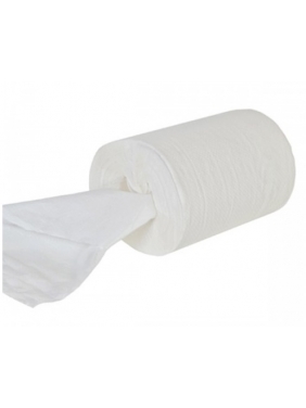 Paper towel roll MINI 200 (12rolls)