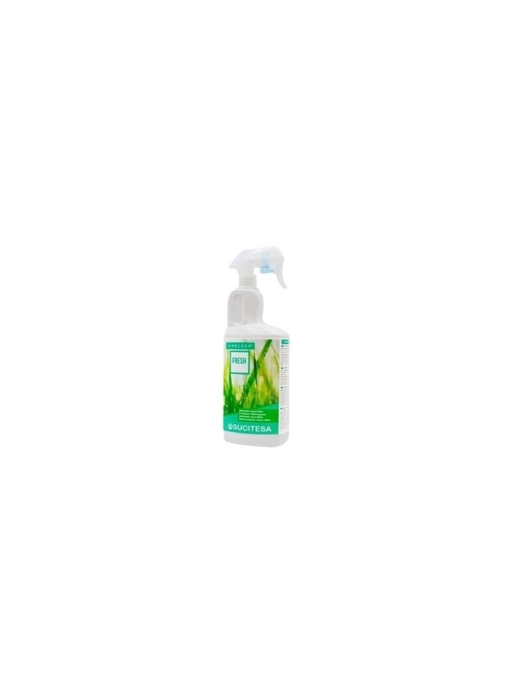 DKNY parfum analog air freshener AMBIGEN FRESH 750ml