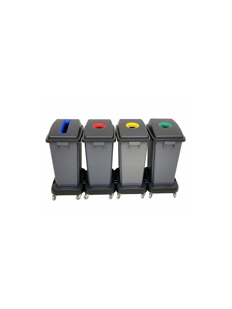 Šiukšliadėžė - konteineris rūšiavimui Cisne Color 60L (su/be platformos)
